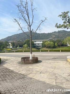 微信图片_20230316155204